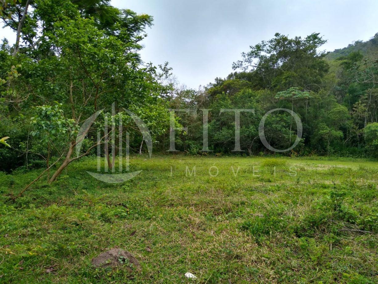 Jurerê | Terreno - Fito Imóveis