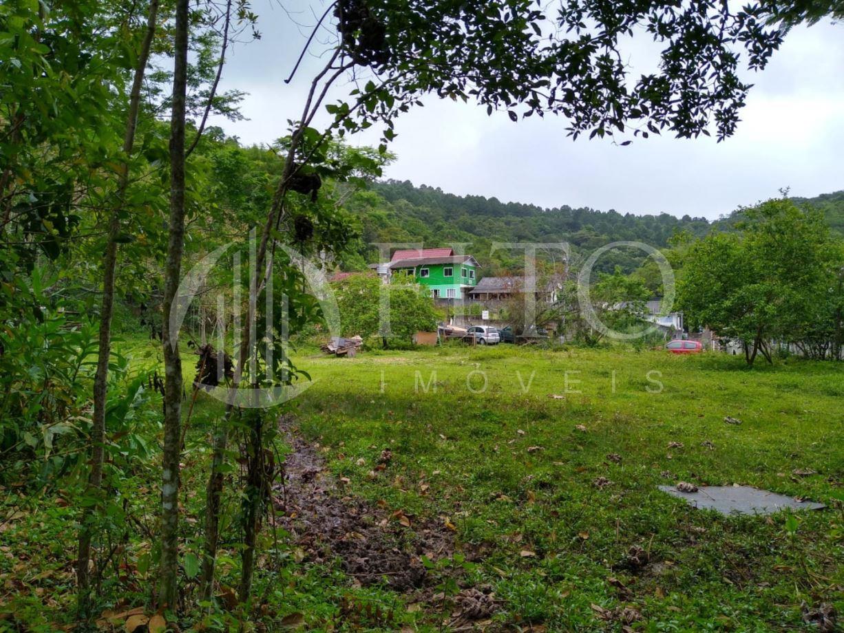 Jurerê | Terreno - Fito Imóveis