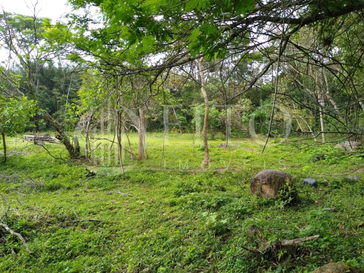 Jurerê | Terreno - Fito Imóveis