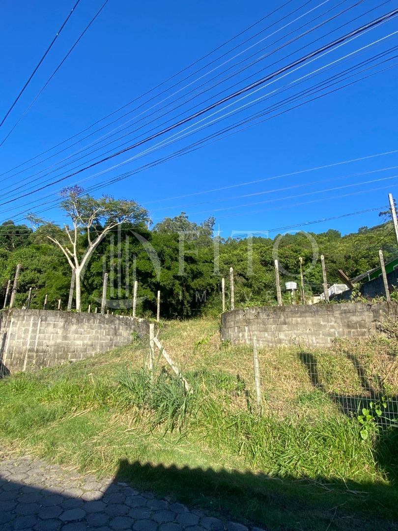 Jurerê | Terreno - Fito Imóveis